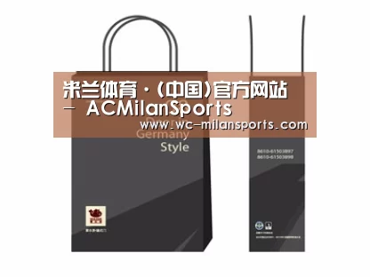 项目名称十四