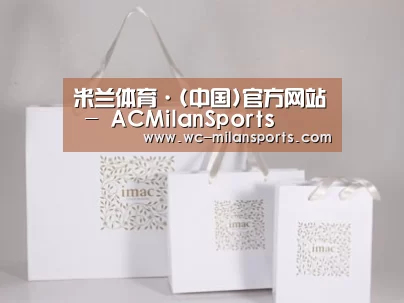 项目名称十一