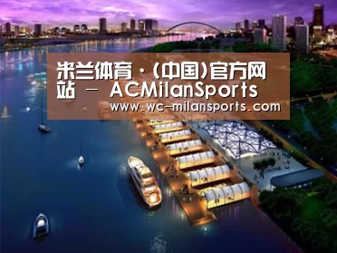 案例展示八