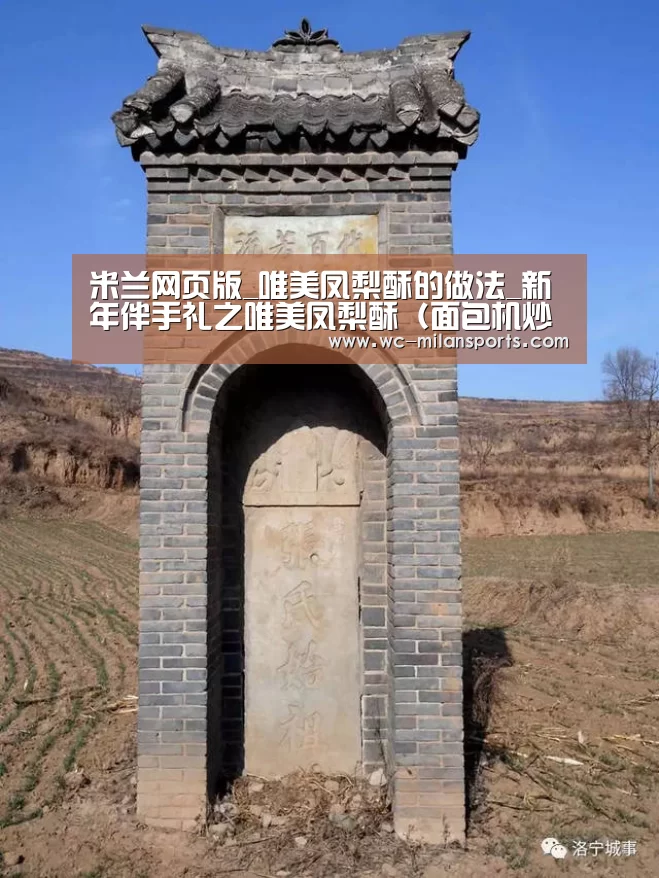 米兰网页版_唯美凤梨酥的做法_新年伴手礼之唯美凤梨酥(面包机炒馅)_唯美凤梨酥怎么做_蓝胖子不素胖纸的菜谱(图1) 米兰网页版登录