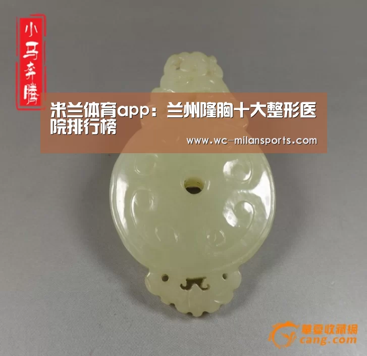 米兰体育app:兰州隆胸十大整形医院排行榜(图2) 米兰体育电竞