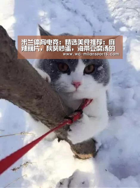 米兰体育电竞:精选美食推荐:麻辣藕片,秋葵炒蛋,海带豆腐汤的做法(图3) 米兰体育app