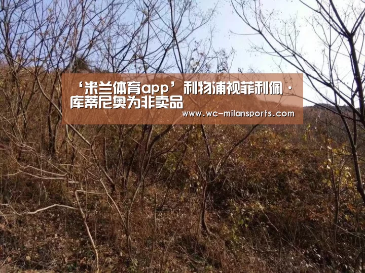 米兰网页版